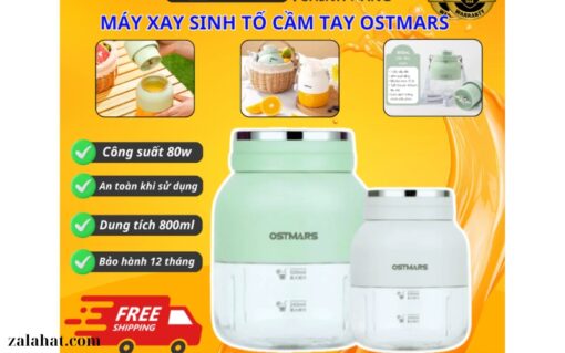 Máy Xay Sinh Tố Ostmars MONTERI (1)