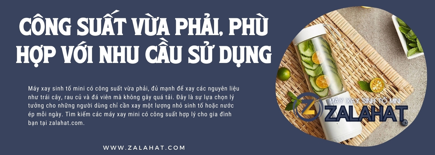 image slide banner home page Máy xay sinh tố mini zalahat (3)